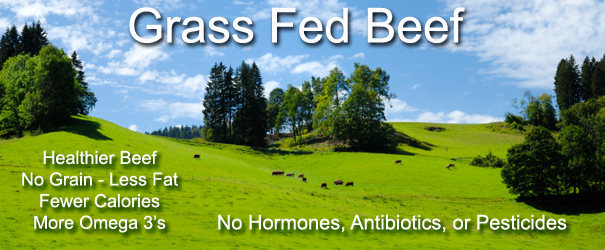 The Benefits of 100% Grass-Fed Beef  Tyer's Processing - Meat Processing